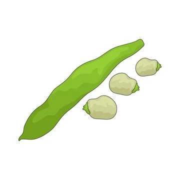 Sugar snap illustration Stock Illustration