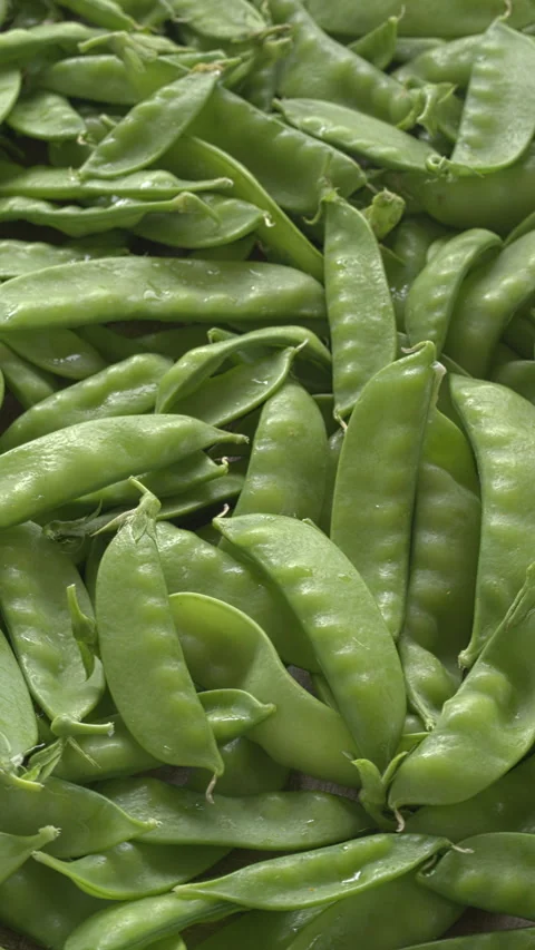 Sugar snap peas background texture. Vertical video. Stock Footage 312113387