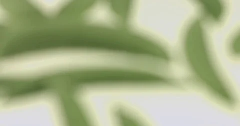 Sugar snap peas Video stock 82089644