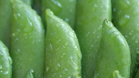 Sugar snap peas Stock Footage 102096589
