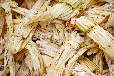 Sugarcane bagasse Stock Photos