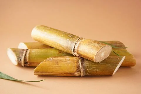 Sugarcane on a brown background. Close-up. Stock Photos