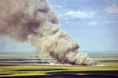 Sugarcane burning Stock Photos