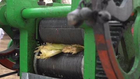 Sugarcane Crusher 02 Stock Footage 106797626