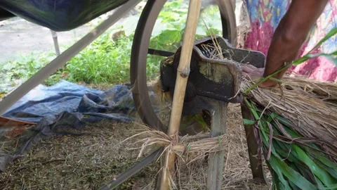 Sugarcane Crushing Machine Stock-Footage 342805075