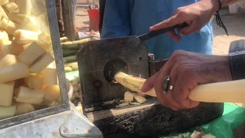 Sugarcane cutting Stock Footage 201946592