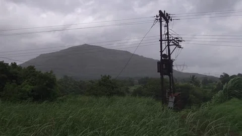 Sugarcane field and electrical transformer in a rural landscape under overcast s Stock Footage 341271794