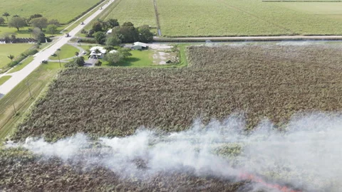 Sugarcane Field Controlled Fire - Aerial Stock Footage 322024099