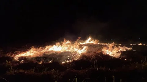 Sugarcane Fields Burned at Night 스톡 동영상 304860247