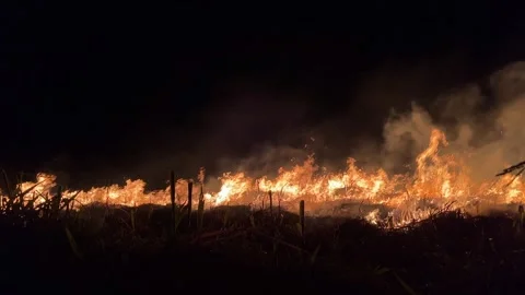 Sugarcane Fields Burned at Night 스톡 동영상 304861339