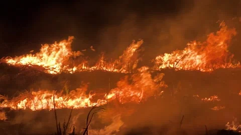 Sugarcane Fields Burned at Night 스톡 동영상 304862743