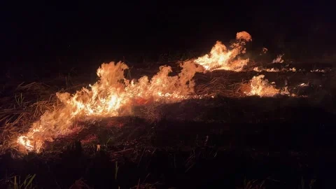 Sugarcane Fields Burned at Night 스톡 동영상 304863012