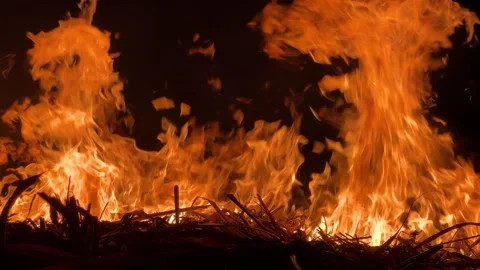 Sugarcane Fields Burned at Night 스톡 동영상 304863523