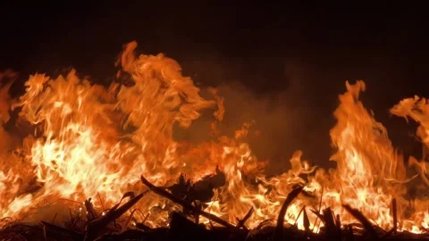 Sugarcane Fields Burned at Night 스톡 동영상 304864255