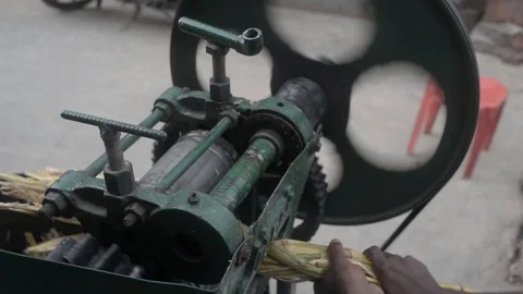 Sugarcane Stock Footage 91885502