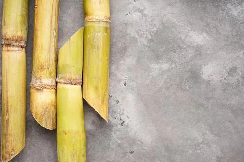 Sugarcane on a gray background with space for text, flat lay. Stock Photos