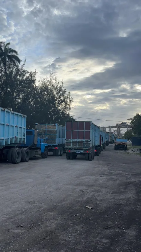 Sugarcane Harvest Trucks Queuing at Sugar Mill, Barbados Stock Footage 337108411