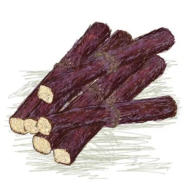 Sugarcane Stock Illustration