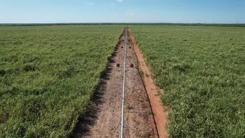 Sugarcane irrigation systems Stock Footage 234645116