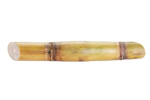 Sugarcane isolated on white background, close-up. Stock Photos
