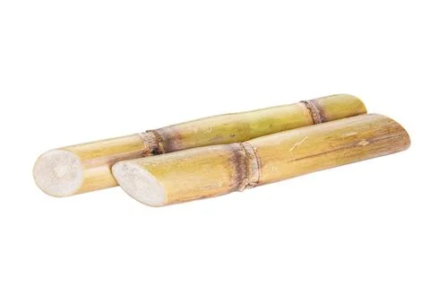 Sugarcane isolated on white background, close-up. Stock Photos