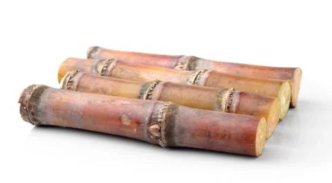 Sugarcane isolated on white background Stock Photos