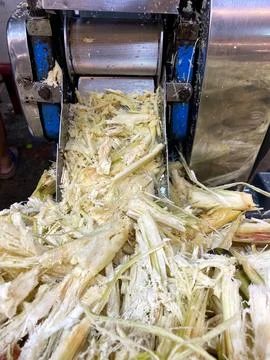 Sugarcane juice extraction process using a mechanical press, showcasing freshly Stock Photos