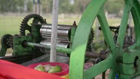 Sugarcane juice machine crushing cane at roadside stall in India Видео 332815237