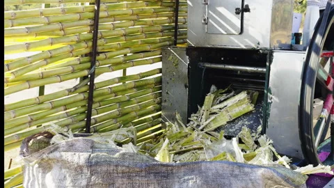 Sugarcane juice machine making juice. Sugarcane juice waste. Stock Footage 297190438