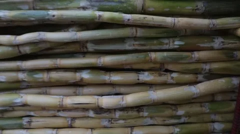 Sugarcane juice vendor at work Stock Footage 54241403