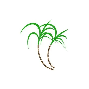 Sugarcane logo and symbol vector image Illustrazione stock