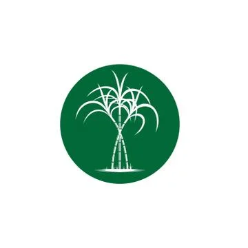 Sugarcane logo and symbol vector image Illustrazione stock