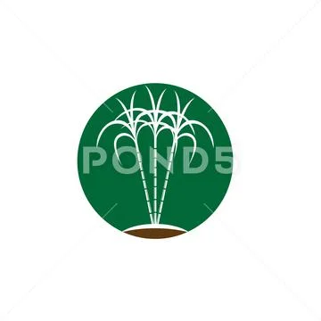 Sugarcane logo and symbol vector image - stock vector 2745598 | Crushpixel