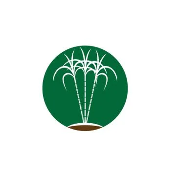 Sugarcane logo and symbol vector image Illustrazione stock
