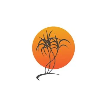 Sugarcane logo and symbol vector image Illustrazione stock