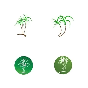 Sugarcane logo and symbol vector image Illustrazione stock