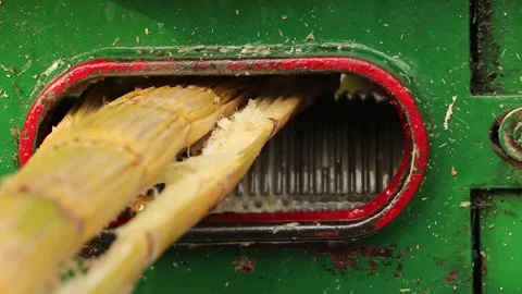 Sugarcane machine Stock Footage 134945937