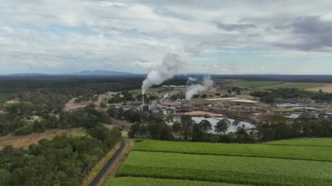 Sugarcane Mill Stock Footage 321338918