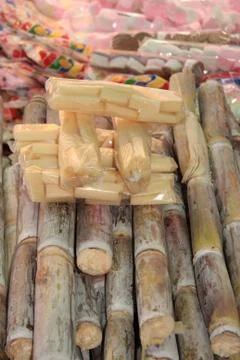 Sugarcane Stock Photos