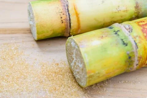 Sugarcane Stock Photos