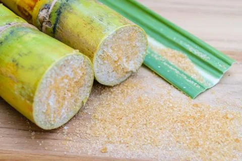 Sugarcane Stock Photos