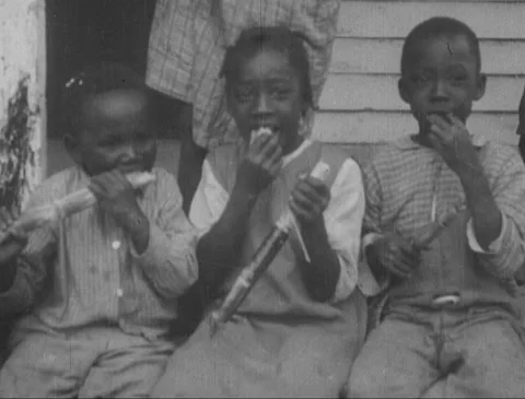 Sugarcane Plantation Workers Stock Footage 149634476