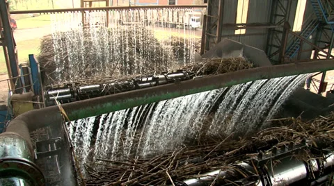 Sugarcane Processing Stock Footage 37841183