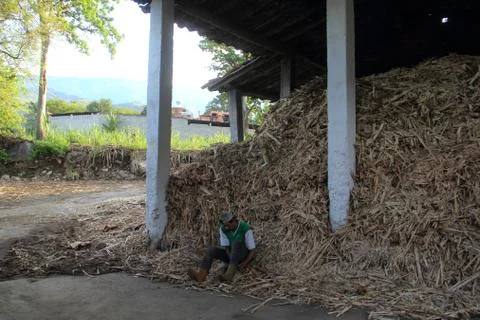 Sugarcane Processing Place Stockfoto's