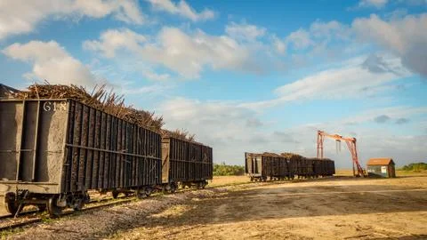 Sugarcane train waiting to be driven Stock Photos