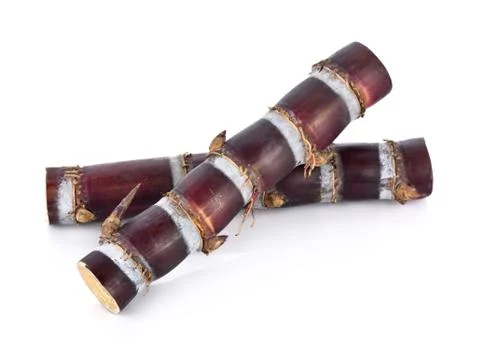 Sugarcane on white background Stock Photos