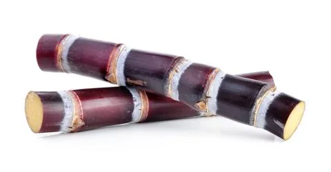Sugarcane on white background Stock Photos