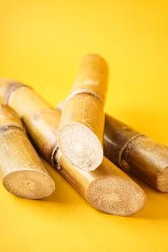 Sugarcane on a yellow background. Close-up. Vertically. Foto stock
