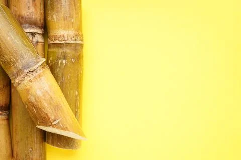 Sugarcane on a yellow background with space for text, close-up. Top view. Stock Photos