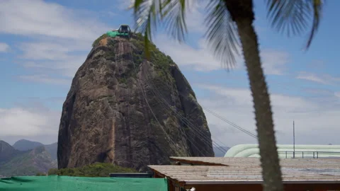 Sugarloaf Mountain, Rio de Janeiro, Bare Rock Face, Leaning Palm 스톡 동영상 345020970